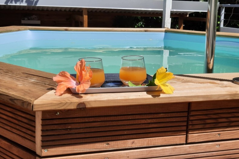 Balisier Orange  18110_IMG-20230220-WA0006.jpg