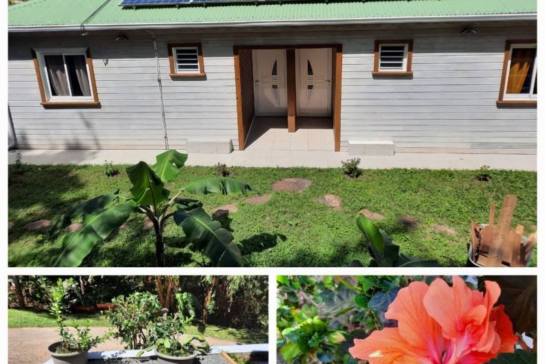 Balisier Orange  18112_IMG-20230220-WA0002.jpg