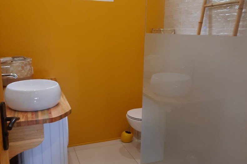 Balisier Jaune 18116_IMG-20230220-WA0034.jpg