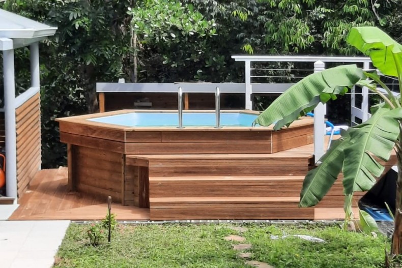 Balisier Jaune 18121_IMG-20230220-WA0003.jpg