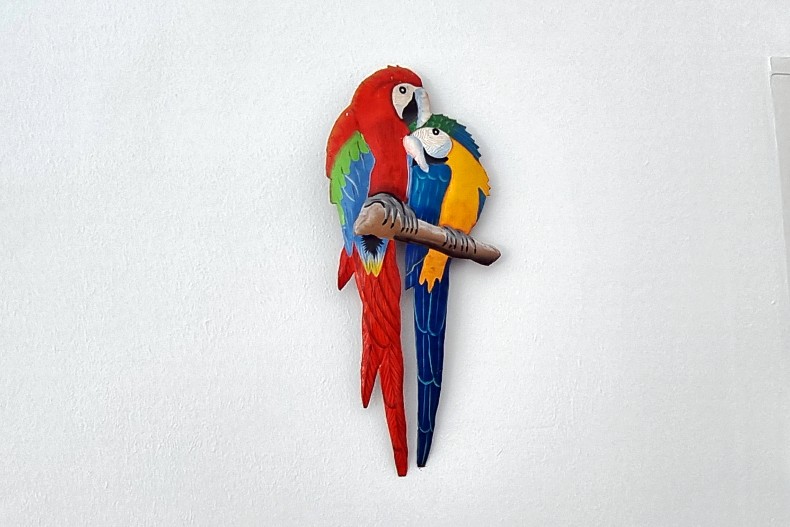 Villa Bel Bonjou 18296_Villa_Bel_Bonjou_Perroquets_1.jpg