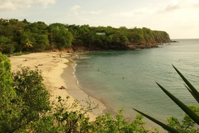 Très belle plage de sable doré juste en bas de la villa