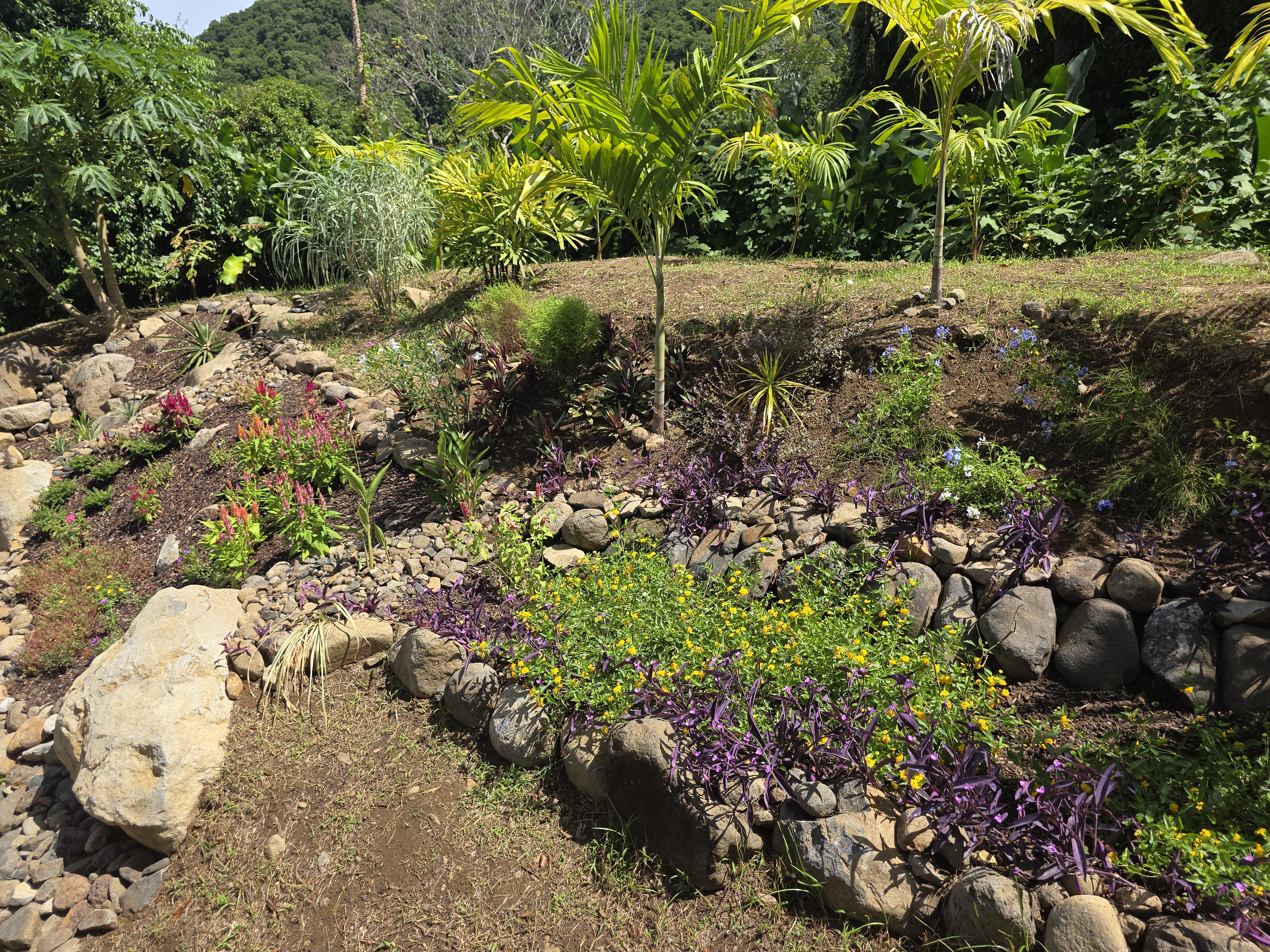 Villa Iguana 19106_37.jpg