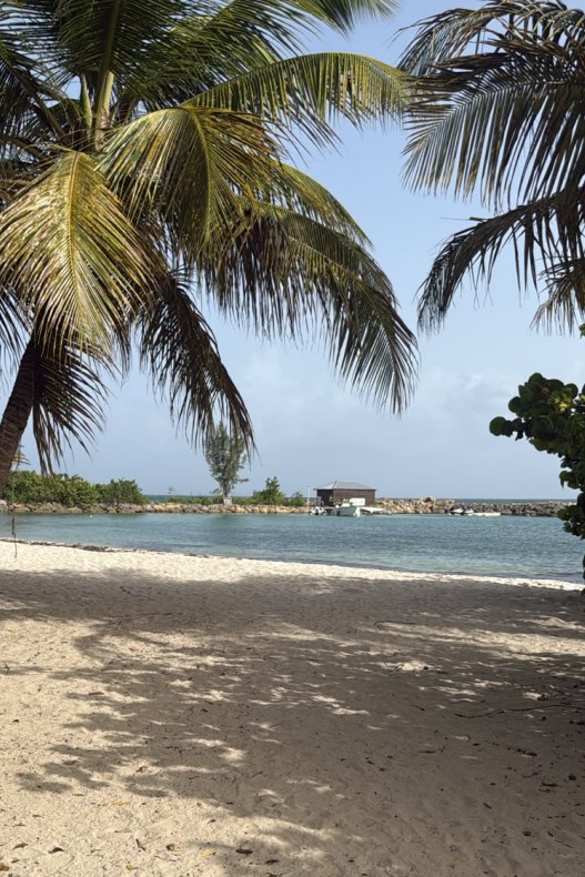 Résidence La Palmeraie 19535_Plage.jpg