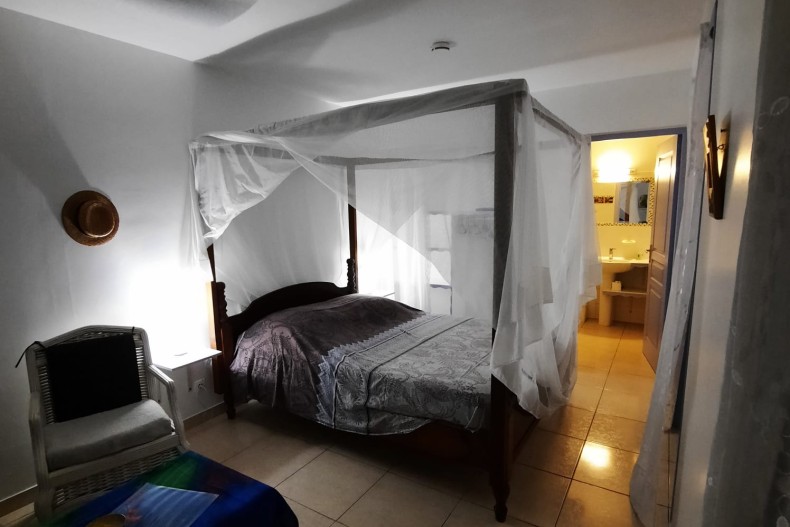 Les Anolis 18737_1000003610.jpg