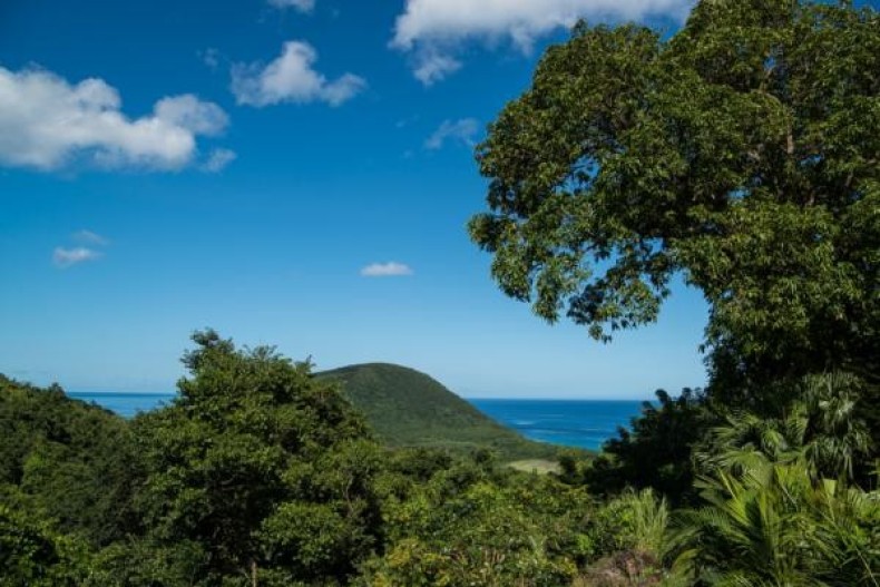 Les Anolis - vue depuis la terrasse