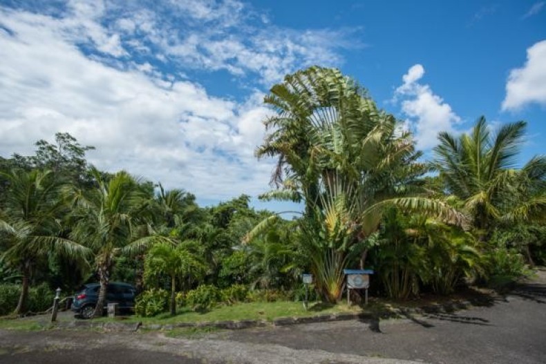 vue en arrivant avec la voiture